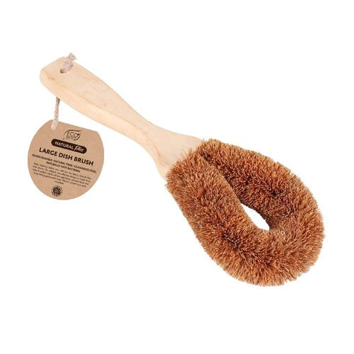 Brush Dish Eco Basics
