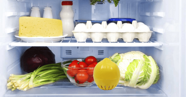 Fridge Deodoriser General Eco Basics