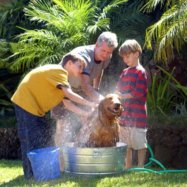 Hemp Pet Shampoo Australian Made 120g General Hemp Collective