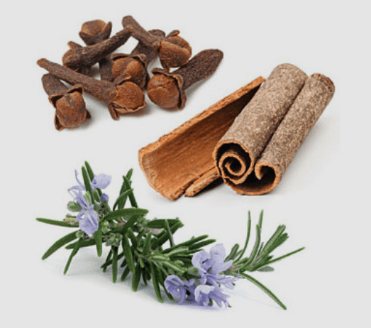 Doterra On Guard Beadlets General Doterra