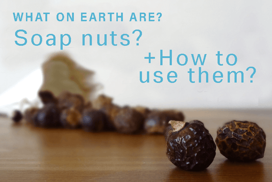 Nature's Soap alternative - Soap Nuts!