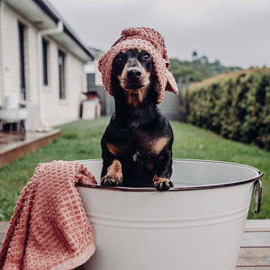 Eco-friendly natural pet care products at Earth to Life