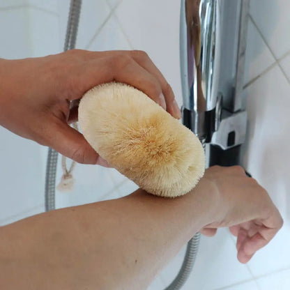 Brush Body Eco Basics