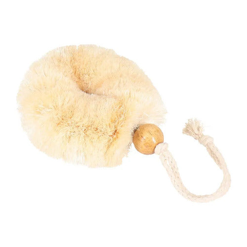 Brush Body Eco Basics