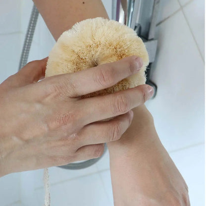 Brush Body Eco Basics