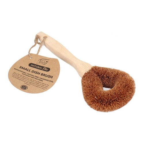 Brush Dish Eco Basics