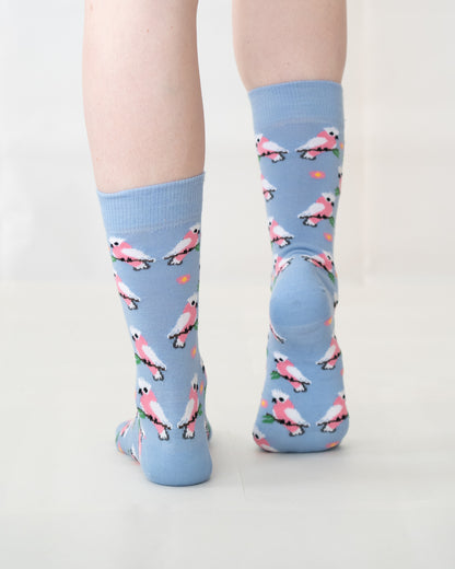 Socks Merino Australian Made Native