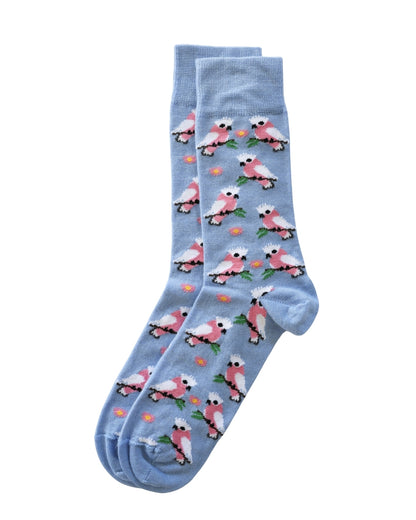 Socks Merino Australian Made Native