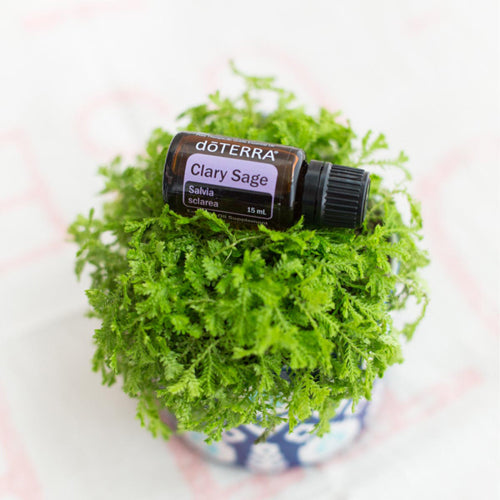 Small glass bottle of essential oils on plant. Soothes & calms nerves and supports a healthy menstrual cycle. 