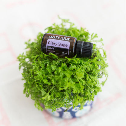 Small glass bottle of essential oils on plant. Soothes & calms nerves and supports a healthy menstrual cycle. 