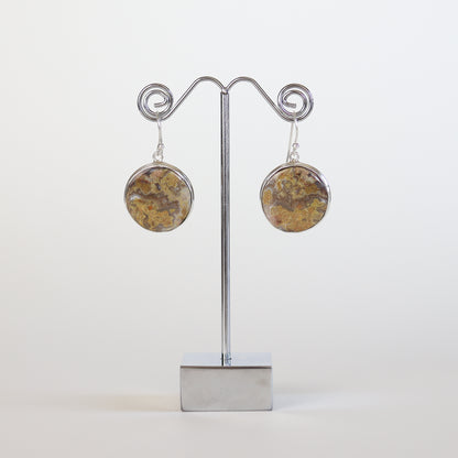 Crazy Lace Agate Silver Round Earrings