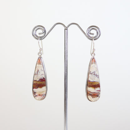 Crazy Lace Agate Silver Teardrop Earrings