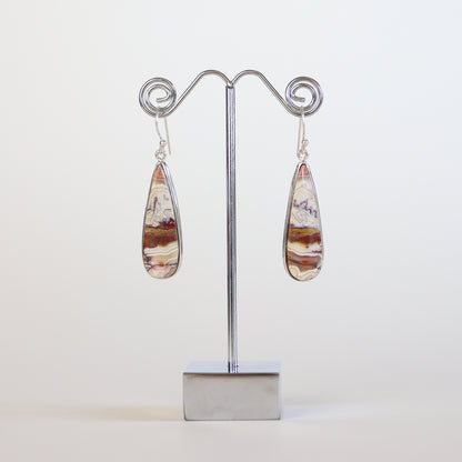 Crazy Lace Agate Silver Teardrop Earrings