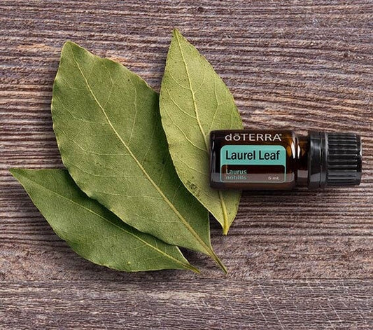 Laurel Leaf Essential Oil doTERRA 5ml Doterra 