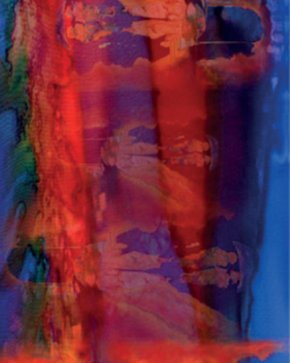 Fine Merino Printed Scarf
