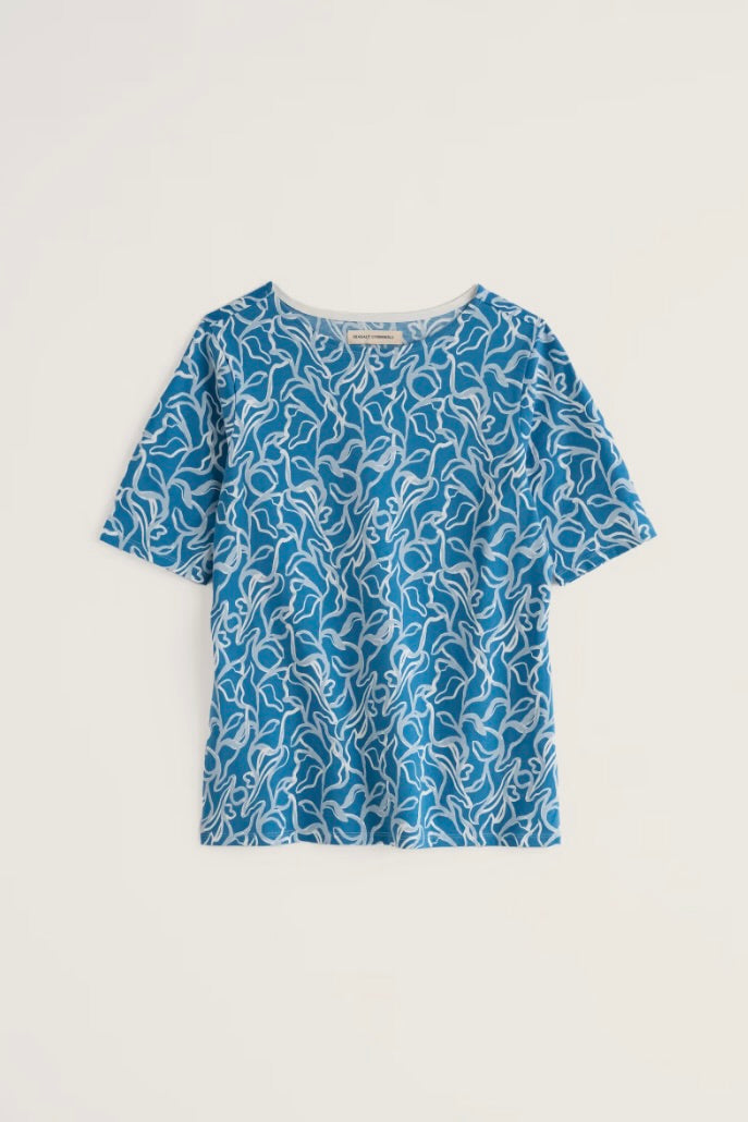 Poisson Top