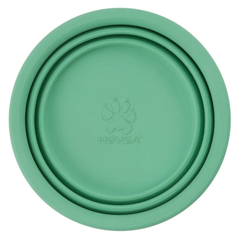 Dog Bowl Collapsible General Hevea Mint 