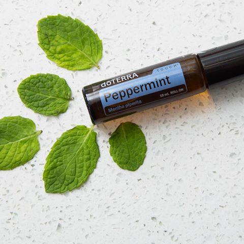 Peppermint Touch Roller - doTERRA General Not specified 