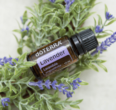 Lavender Essential Oil doTERRA 15ml General Doterra 